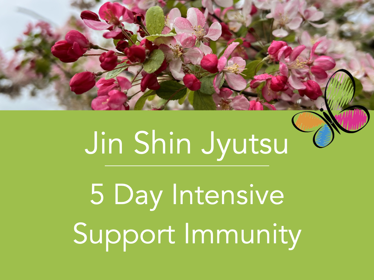 Jin Shin Jyutsu 5 Day Intensive for Supporting Immunity